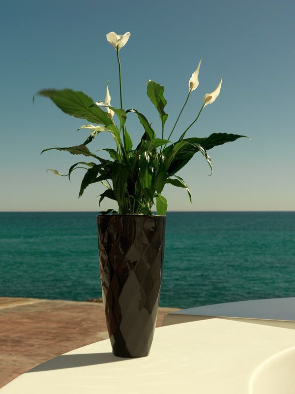 Кашпо Vases Nano матовое бронзовое Ø14x28